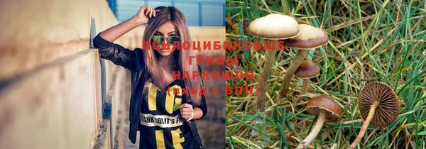 амф Алексин