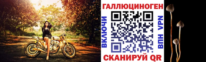Галлюциногенные грибы мицелий  купить наркотик  Асино 