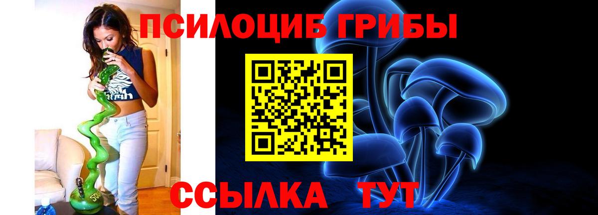 Псилоцибиновые грибы MAGIC MUSHROOMS Асино
