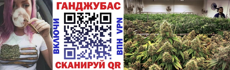 Канабис SATIVA & INDICA  как найти наркотики  ссылка на мегу онион  Асино 